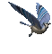 Blue Jay - GIF animasi gratis GIF animasi