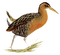 duck katrin - бесплатно png анимированный гифка