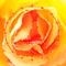 SA  / / Bg.animated.rose.hearthcircle.urange.idca - Δωρεάν κινούμενο GIF κινούμενο GIF
