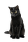 cat katrin - безплатен png анимиран GIF