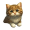 Cat - gratis png geanimeerde GIF