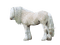 beautiful horse 2 - png gratis GIF animasi