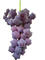 star shaped grapes - δωρεάν png κινούμενο GIF