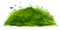 gräs--natur - png gratis GIF animasi