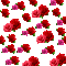 rosas - Zdarma animovaný GIF animovaný GIF