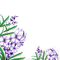 flowers border - безплатен png анимиран GIF