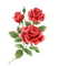 kikkapink rose vintage painting transparent spring - PNG gratuit GIF animé