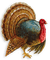 Turkey-RM - png gratis GIF animado