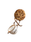 Cookie Coffie Cup - Bogusia - 免费PNG 动画 GIF