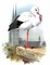 Alsace - png gratis GIF animasi