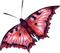 papillon marron.Cheyenne63 - безплатен png анимиран GIF