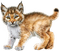 Y.A.M._Animals Lynx - ücretsiz png animasyonlu GIF