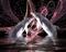 dauphin noir violet rose - PNG gratuit GIF animé