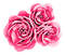 Vintage.Flowers.Pink - 無料png アニメーションGIF