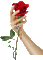 Rózsa - Bezmaksas animēts GIF animēts GIF