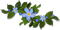 Kaz_Creations Deco Flowers Flower Blue - nemokama png animuotas GIF