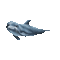 delfin - Bezmaksas animēts GIF animēts GIF