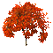 Àrbol de otoño