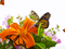 flores y mariposas - GIF animado gratis GIF animado