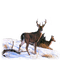 ciervos dubravka4 - Free PNG Animated GIF