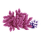 coral reef Bb2 - Free PNG Animated GIF