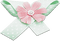 soave deco bow flowers scrap pastel pink green - png gratuito GIF animata