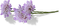 цветы - безплатен png анимиран GIF