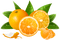 orange by nataliplus - Free PNG Animated GIF