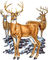 Kaz_Creations Deers - nemokama png animuotas GIF