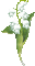 muguet lily of the valley gif - GIF animé gratuit GIF animé