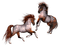 cheval - darmowe png animowany gif