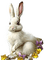 Lapin.Bunny.Conejo.Rabbit.Victoriabea - Free PNG Animated GIF