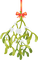 Mistletoe - darmowe png animowany gif