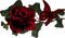 fleurs ( - ilmainen png animoitu GIF