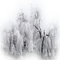 winter snow tree - PNG gratuit GIF animé