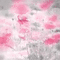 soave background animated flowers poppy field - 免费动画 GIF 动画 GIF