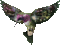ptak-koliber - Бесплатный анимированный гифка анимированный гифка