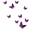 Kaz_Creations Deco Butterflies Purple - PNG gratuit GIF animé