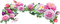 fleurs - 無料png アニメーションGIF