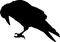 Ravens - kostenlos png Animiertes GIF