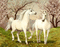 fond unicorn fantasy glitter paysage