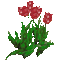 tulips - GIF animasi gratis GIF animasi