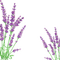 Lavender  Bb2 - bezmaksas png animēts GIF