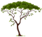 nbl - Tree