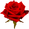 cœur fleur rose rouge   Saint Valentin amour_heart flower Red rose   St. Valentin love - GIF animé gratuit GIF animé