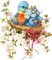 Vögel, Hochzeit - безплатен png анимиран GIF