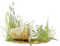 spring grass Bb2 - Free PNG Animated GIF