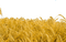 Wheat Field-RM - Free PNG Animated GIF