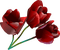 flor - безплатен png анимиран GIF