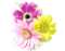 image encre animé effet scintillant briller fleurs printemps anniversaire edited by me - GIF animé gratuit GIF animé